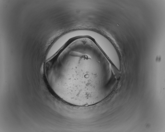 X0000090890019200708171715