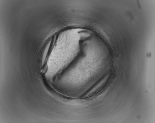 X0000090890020200708171715