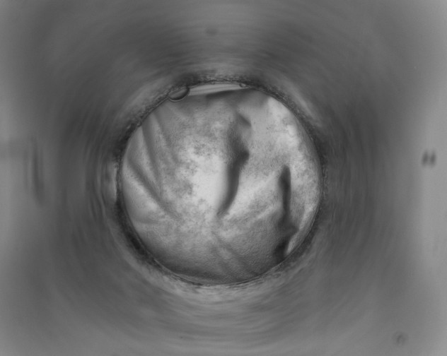 X0000090890022200708171715