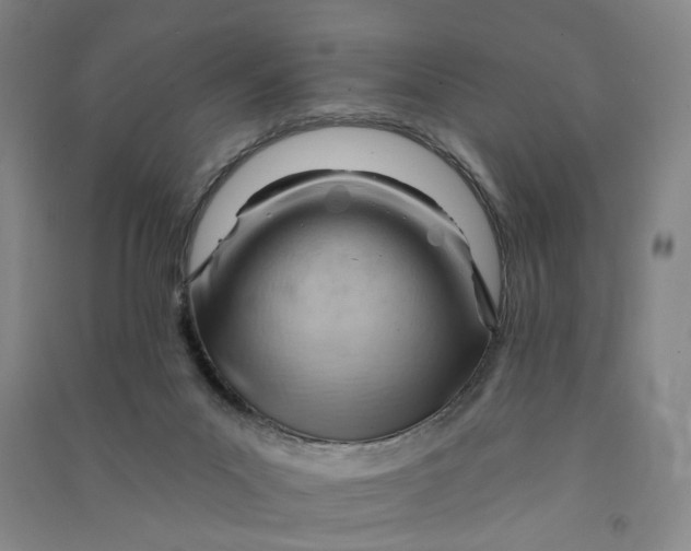 X0000090890023200708171715