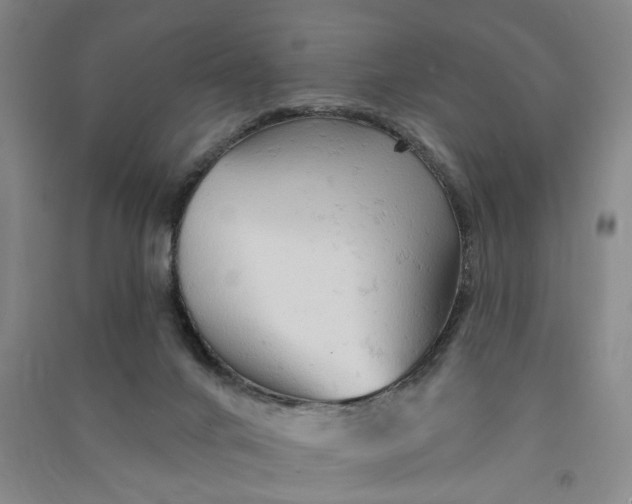 X0000090890024200708171715