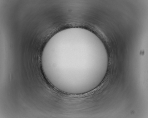 X0000090890025200708171715