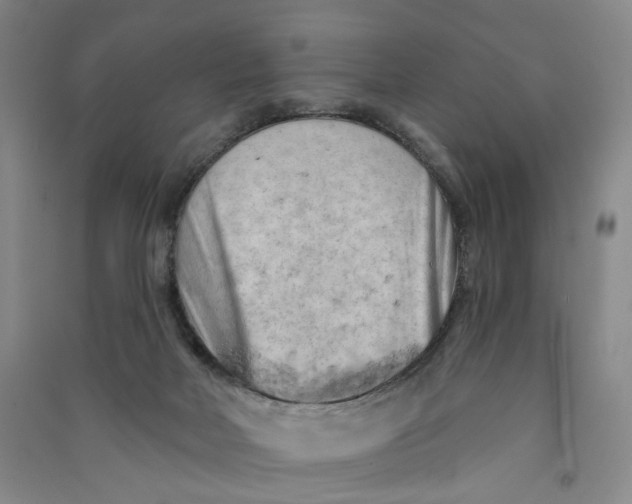 X0000090890026200708171715