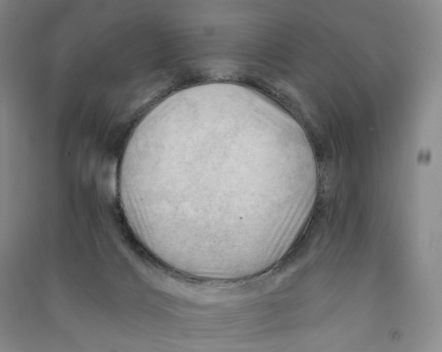 X0000090890028200708171715