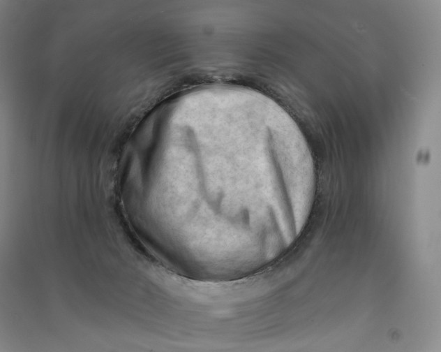 X0000090890030200708171715