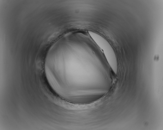 X0000090890031200708171714