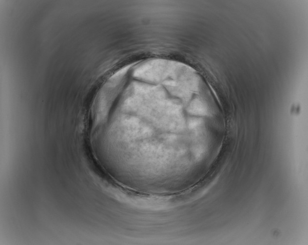 X0000090890032200708171714