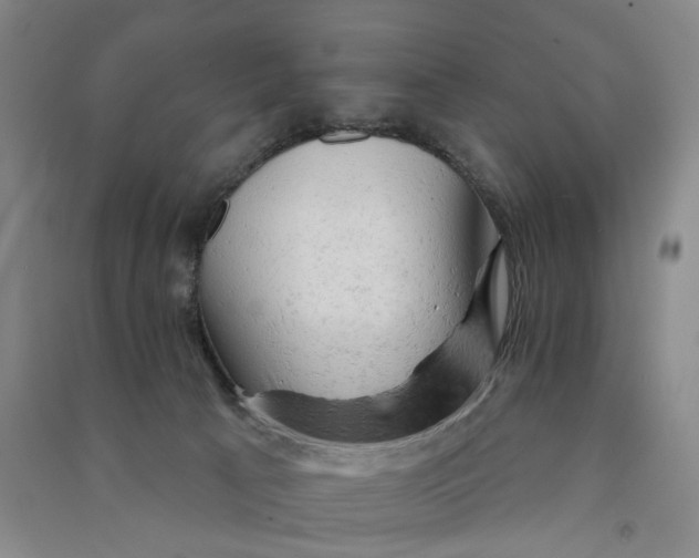 X0000090890033200708171714