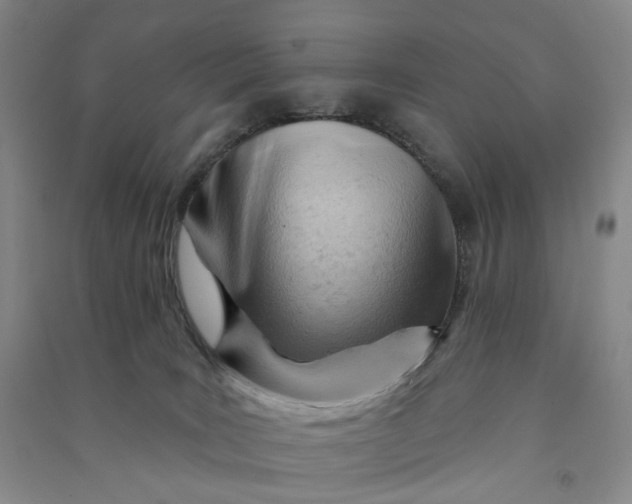 X0000090890035200708171714