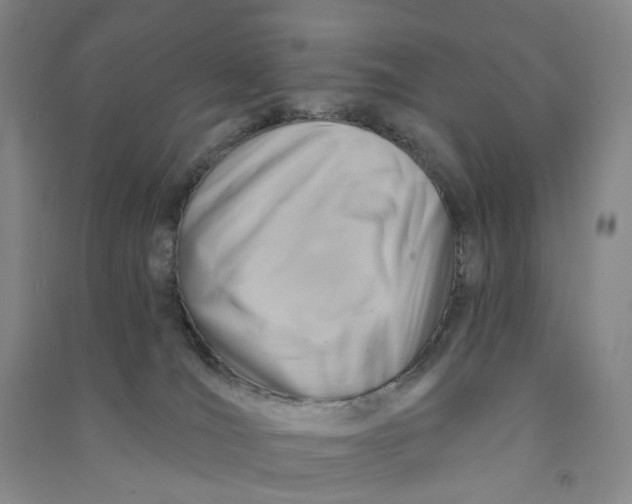 X0000090890036200708171714