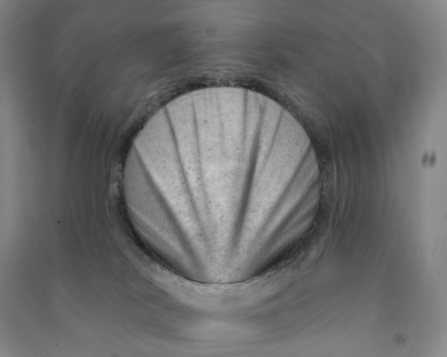 X0000090890038200708171714