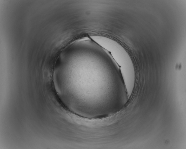 X0000090890039200708171714