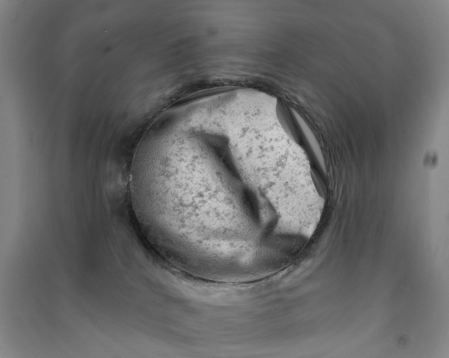 X0000090890040200708171714