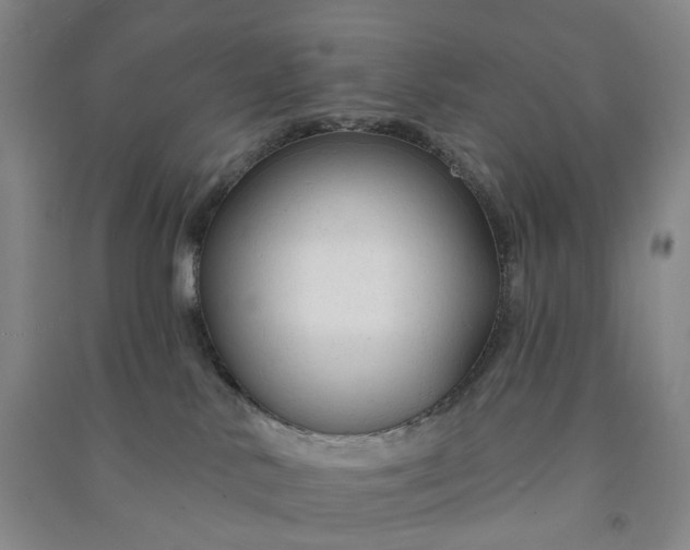 X0000090890042200708171714