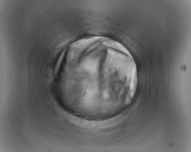 X0000090890043200708171714