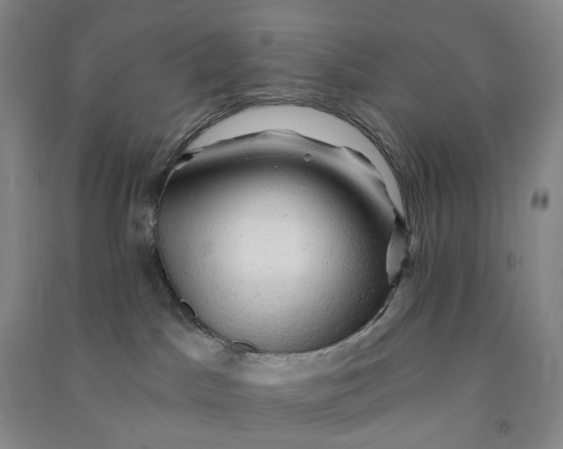 X0000090890045200708171714