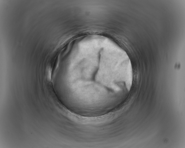 X0000090890046200708171714