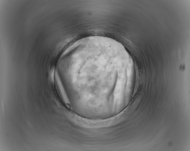 X0000090890047200708171714