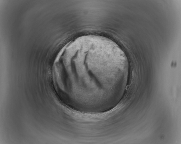 X0000090890048200708171714