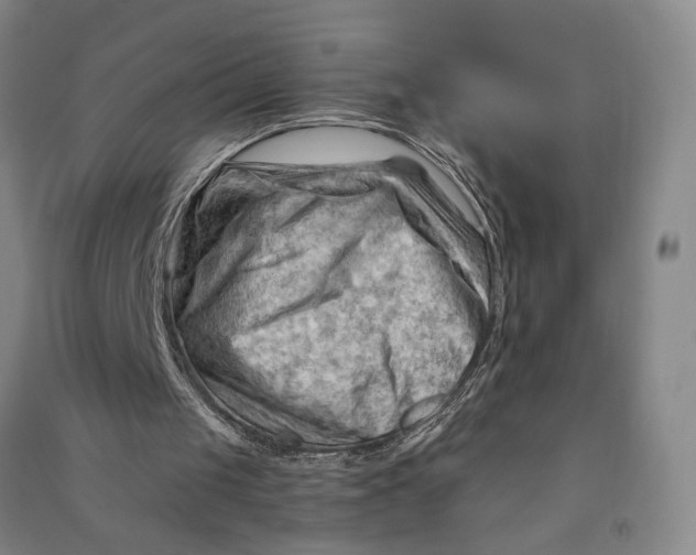 X0000090890049200708171714