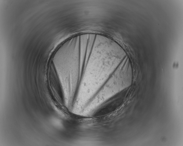 X0000090890050200708171714