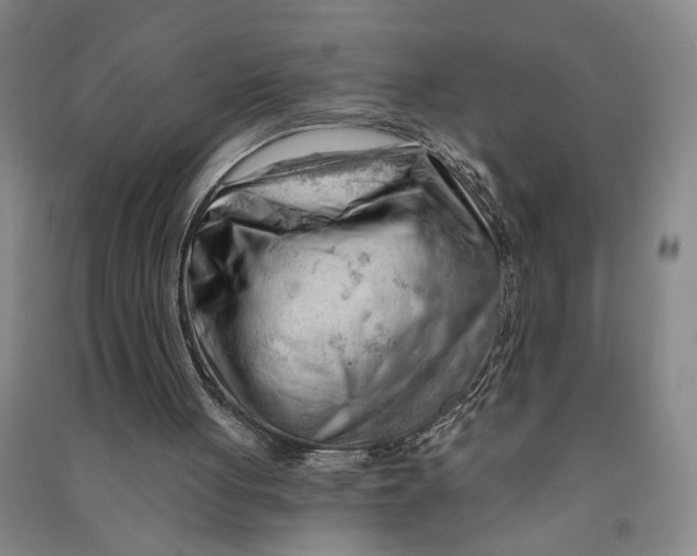 X0000090890051200708171714