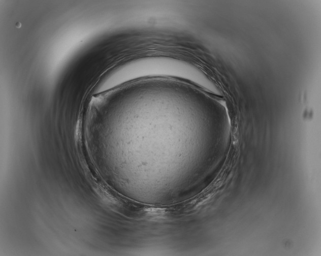 X0000090890052200708171714