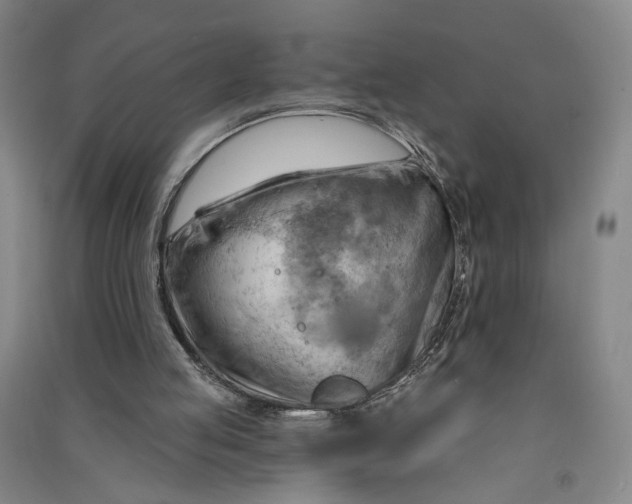 X0000090890053200708171714