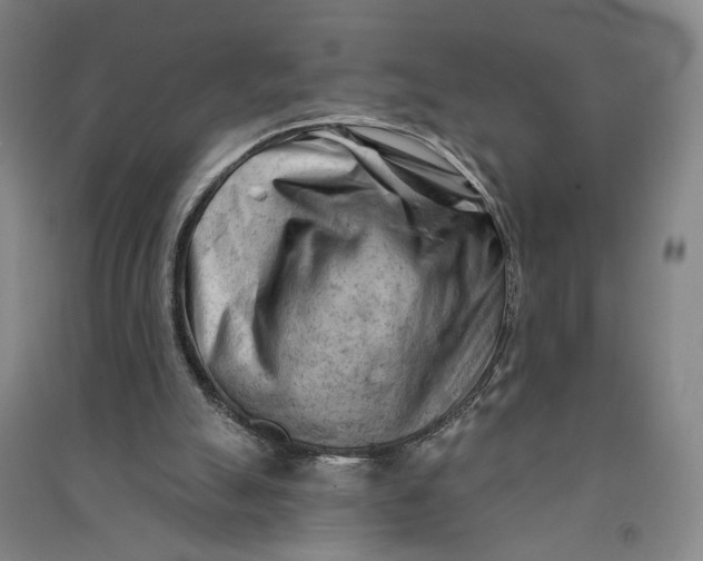 X0000090890055200708171714