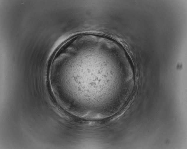 X0000090890056200708171714