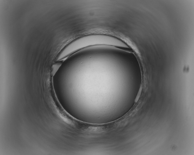 X0000090890057200708171714