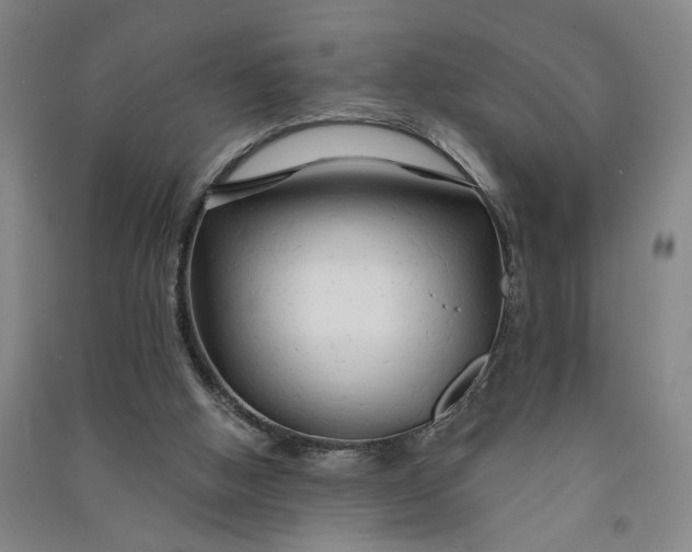 X0000090890058200708171714