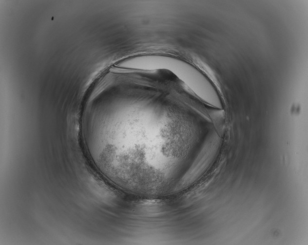 X0000090890059200708171714