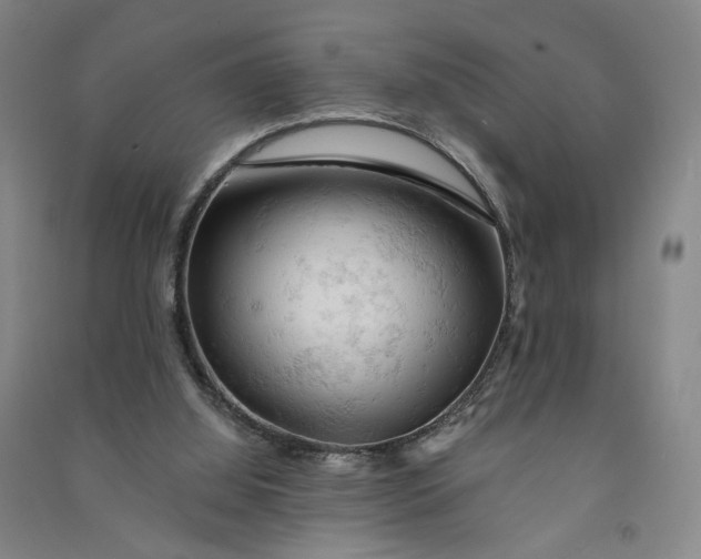 X0000090890060200708171714