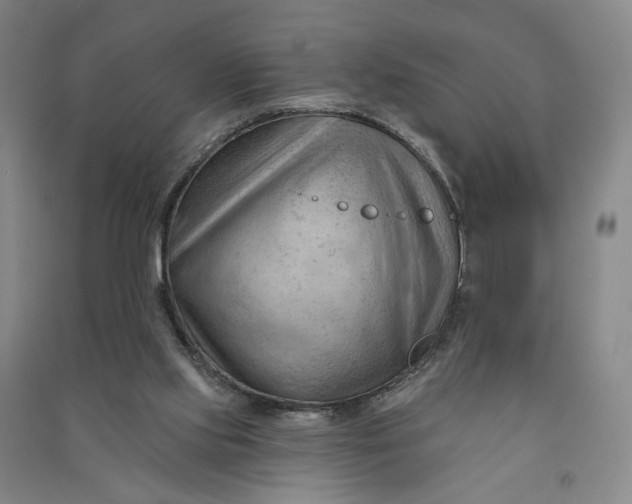 X0000090890061200708171714