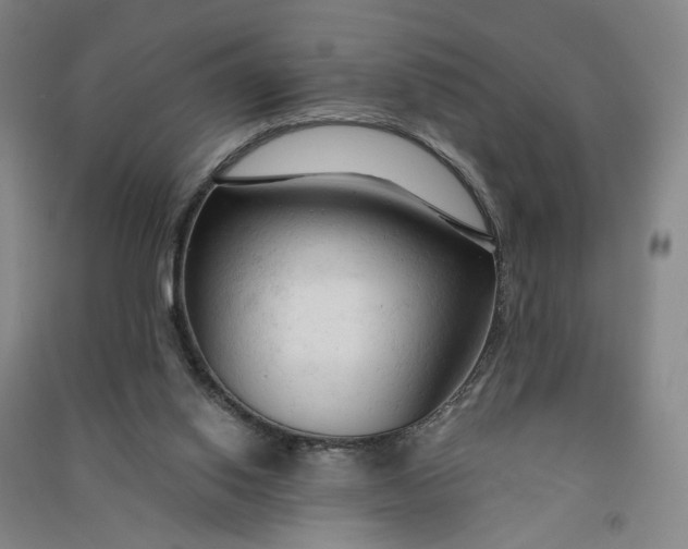 X0000090890062200708171714