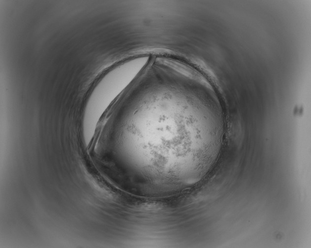 X0000090890063200708171714