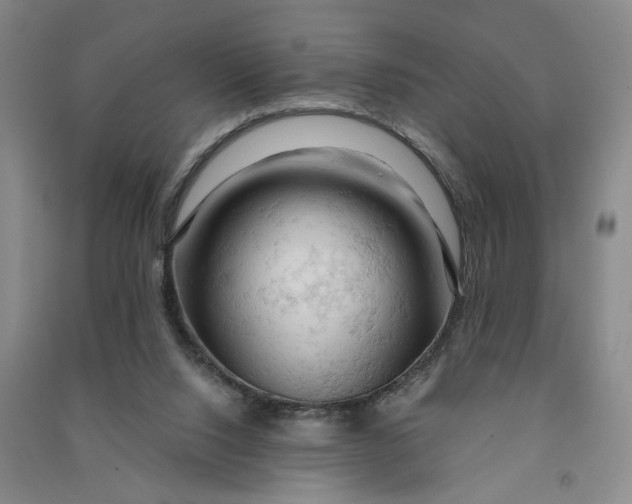 X0000090890064200708171714