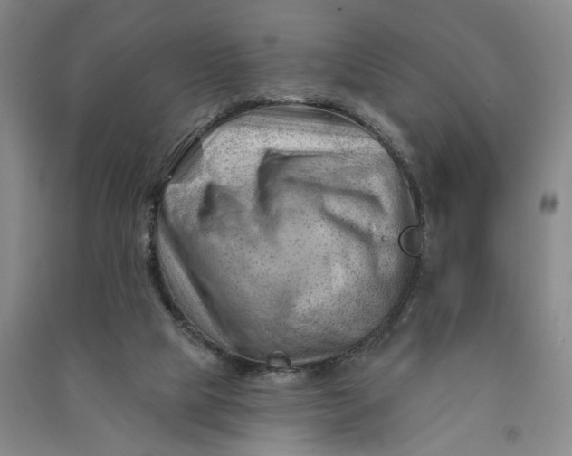 X0000090890065200708171714