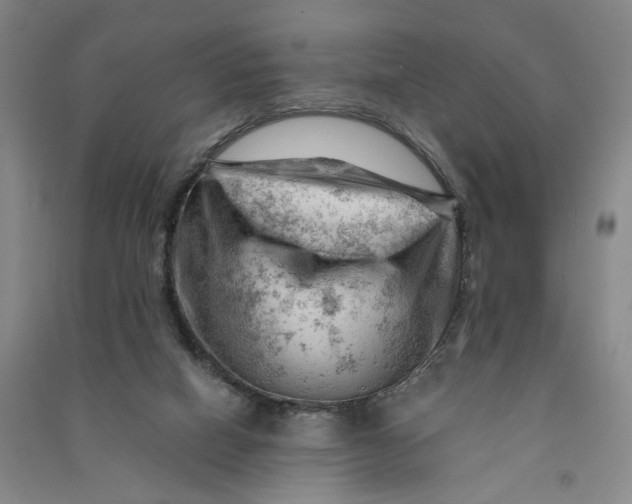 X0000090890066200708171714