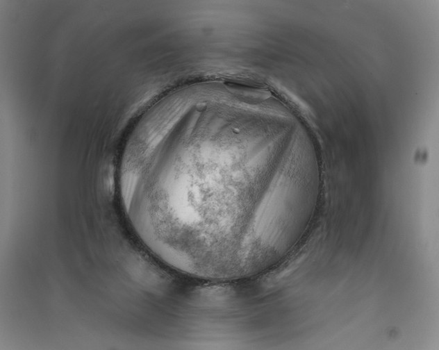 X0000090890067200708171714