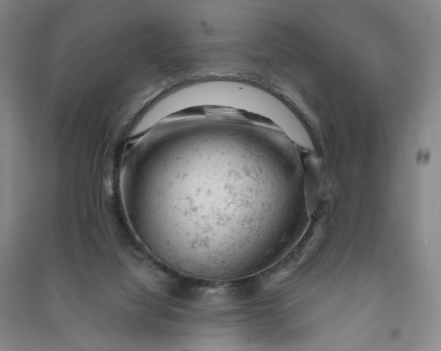 X0000090890068200708171714