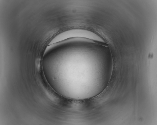 X0000090890070200708171714