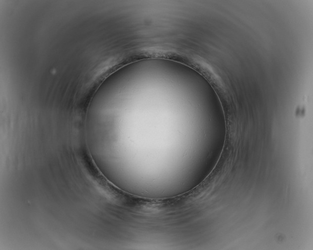 X0000090890071200708171714