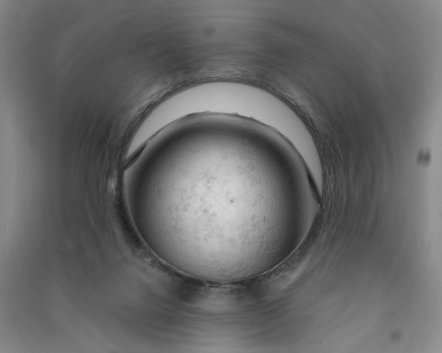 X0000090890072200708171714