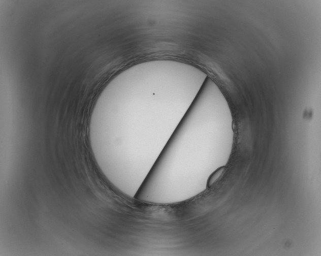 X0000090890073200708171714