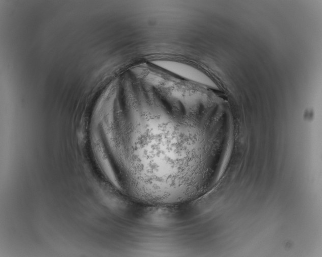 X0000090890074200708171714