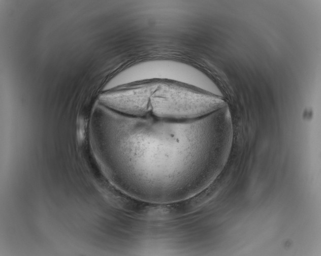 X0000090890075200708171714