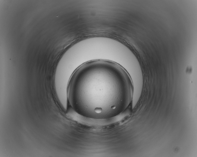 X0000090890076200708171714