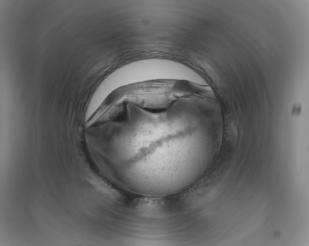 X0000090890077200708171714